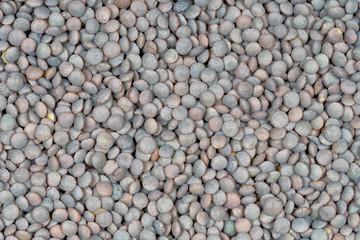 Many lentils for legumes background