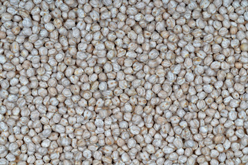 Many chickpeas for legume background