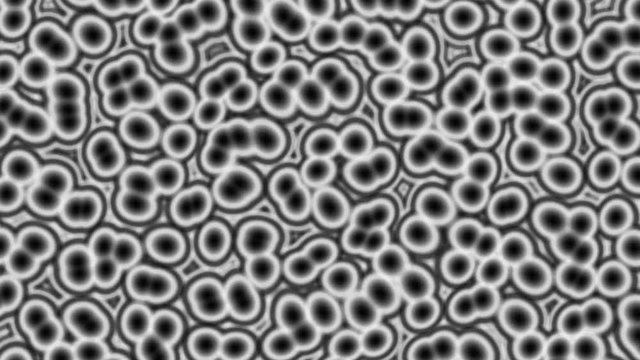 Cells particles black and white dinamic