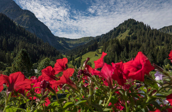 Ausblick vom Balkon durch rote Geranien auf die Berge der Alpen