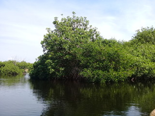Panorámicas de Laguna de Ventanilla, Oaxaca, México