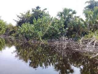 Panor&aacute;micas de Laguna de Ventanilla, Oaxaca, M&eacute;xico