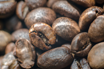 Close-up photo of roasted coffee beans with natural lighting. Background from coffee beans.