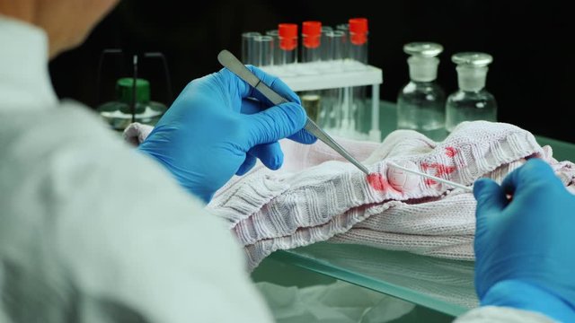 Back view: Detective examines the evidence on the clothes. Forensics concept