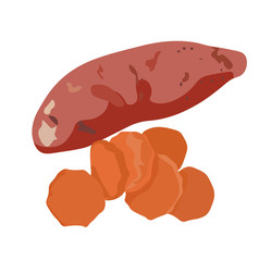 Vector stock illustration of Sweet Potato Yam. large tubers of orange. Cuisine China, USA, Honduras, Israel. 