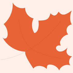Maple leaf vector illustration isolated on peach background. Red maple leaf icon for autumn collection, sets, postcard, templates,wrapping paper. Autumn leave colorful icon,flat design for application