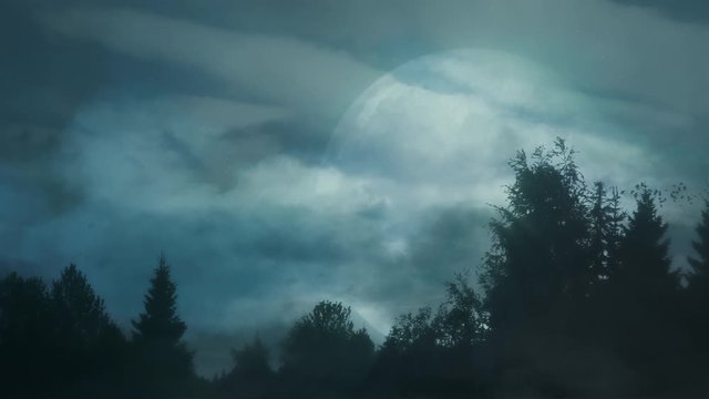 Big Moon in the forest at Midnight