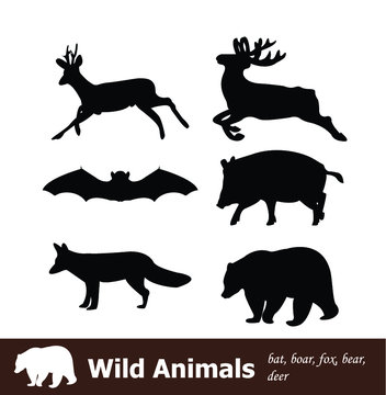 Set of wild animals (bat, boar, fox, bear, deer)