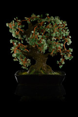 bonsai tree in pot