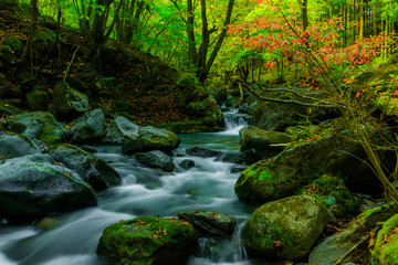 秋の美しい渓流