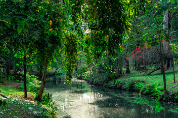 Paisagem dentro do parque - Lago e Árvores