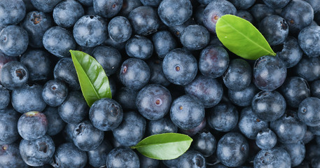 blueberry berries background top view 