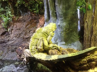 waterfall in the forest