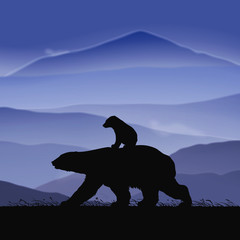 Bears family walking in mountains. Animal mother and baby silhouette