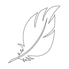 Outline drawing of a bird's feather on a white background.