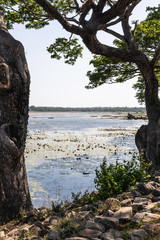 Fototapeta premium Sri Lanka Anuradhapura