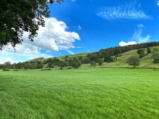 Countryside, with a lush green meadow, hills and trees, in the distance, on a sunny day near, Bishopdale, Leyburn, UK