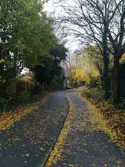 Walkway path during Springs in the UK. 