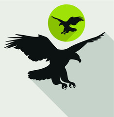 Fototapeta premium Falcon icon