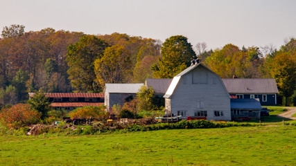 Fototapeta na wymiar Farm in the Vermont Countryside during the fall
