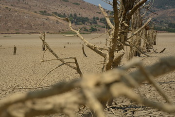 climate change, dry land