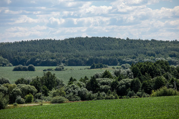 Fototapeta premium Beautiful hilly terrain in Europe in summer. Fields and forests. Belarus.