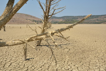 dry land, climate change
