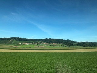 green field and blue sky