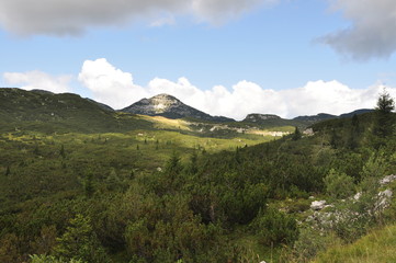 Asiago - cima dodici