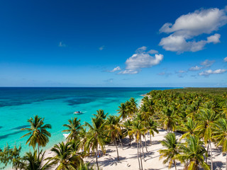 Aerial drone view of the paradise beach with palm trees, white sand and blue water lagoon of Caribbean Sea at the Saona island, Dominican Republic 