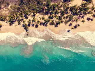 Fototapeten Aerial drone view of paradise beach with palm trees and blue water at the Esmeralda beach, Miches, Dominican Republic   © Pavel