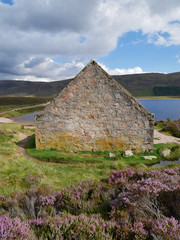 boathouse by the side of a lake, purple heather at the first plane, path and hills at the distance, blue sky with grey clouds