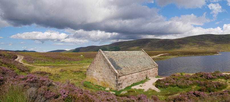panoramic view of a boathouse by the side of a lake, purple heather at the first plane, path and hills at the distance, blue sky with grey clouds