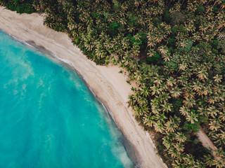 Aerial drone view of paradise beach with palm trees and blue water at the Esmeralda beach, Miches, Dominican Republic  