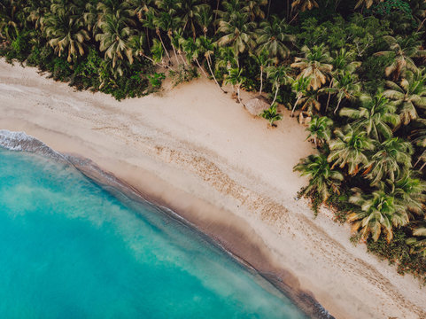 Aerial drone view of paradise beach with palm trees and blue water at the Esmeralda beach, Miches, Dominican Republic  