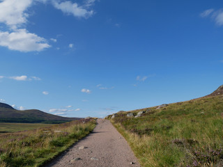 Fototapeta na wymiar path with green vegetation and heather alongside, hills at the distance, blue sky with small white clouds