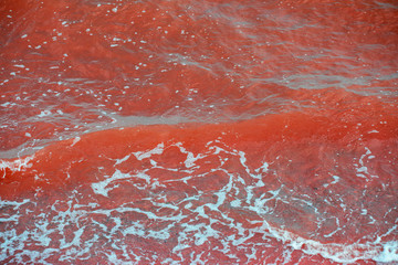pink water on the dead sea with waves, natural background, horizontal format