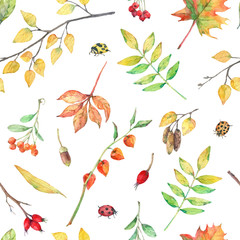 Watercolor seamless pattern with autumn elements. - 374008231