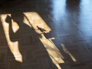 Schattenbild mit Frau und Zwerg, Silhouette