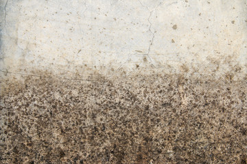 The texture of old wall
