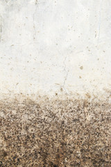 The texture of old wall