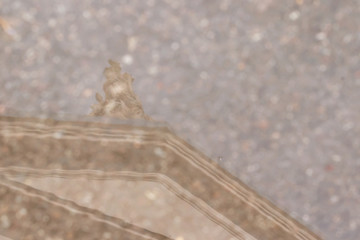 Spiegelung