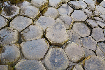 Close up of the the basalt columns at the Giants Causeway in Ireland