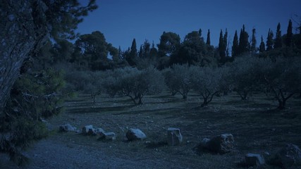Garden of Gethsemane at night - pan shot