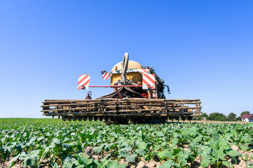 Injecting liquid manure into the ground and cultivating rapeseed as green manure for better crops...