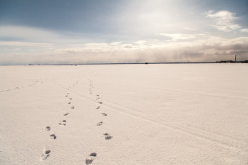 Winter lake landscape with footsteps on snow