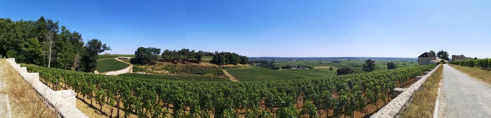 Obraz premium Montagne-Saint Emilion