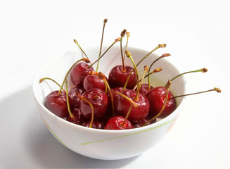 cherry with tails in a white plate on a gray background. fresh harvest concept.