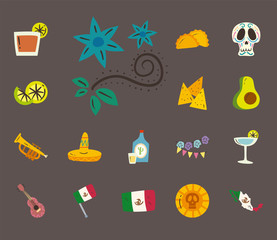 mexican flowers and free form style icon set vector design