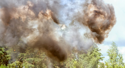 Smoke rises above the forest, a lot of smoke, blurred background